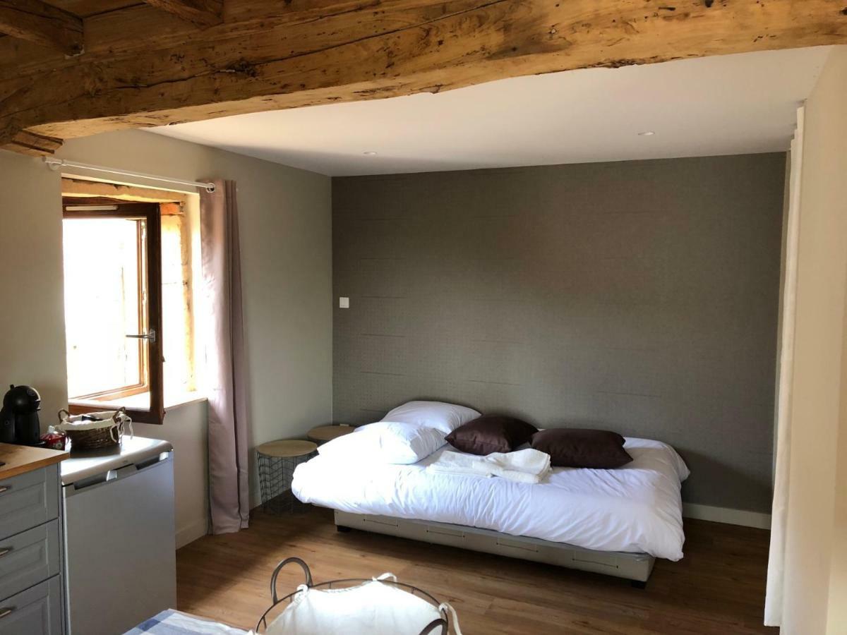 Apartamento Domaine Des Dutreve Saint-Etienne-des-Oullieres Exterior foto